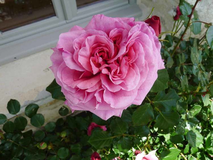 façade Gite vercors la ferme des glénats