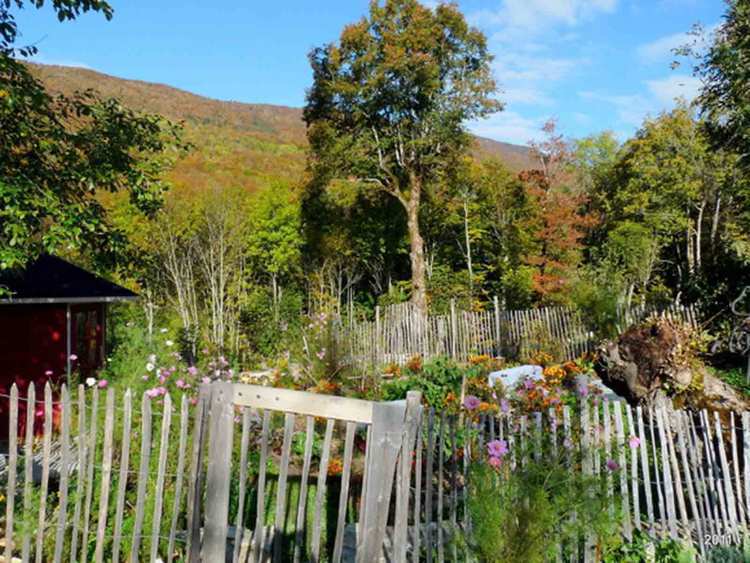 potager dans le vercors