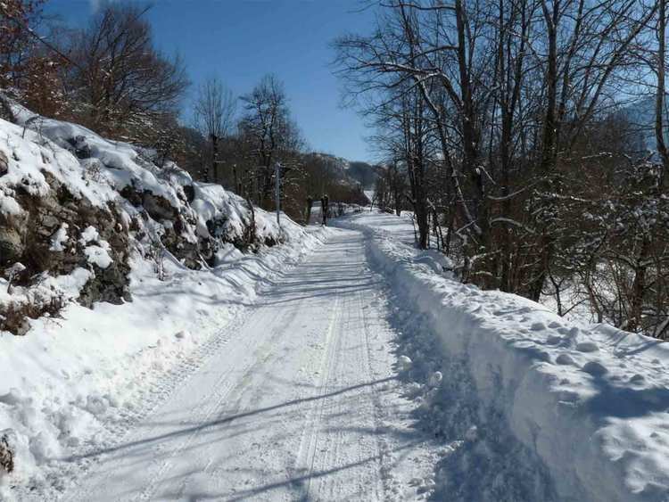 route déneigée en hiver
