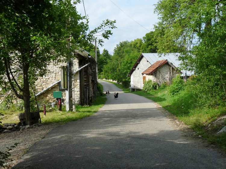 la parade des poules bis