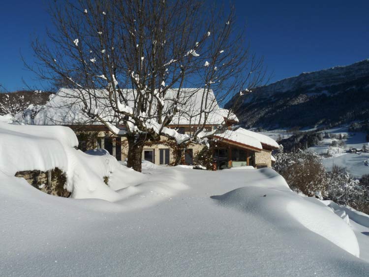 belle biche à Rencurel