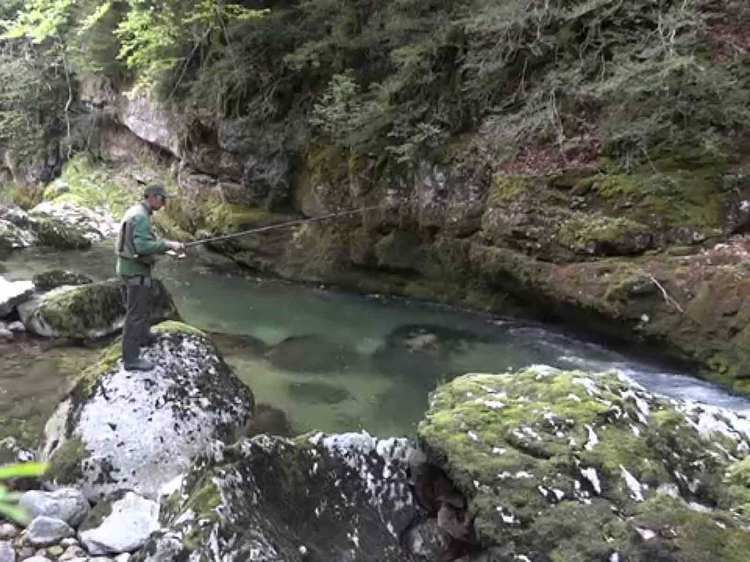 Pêche le long de la Bourne