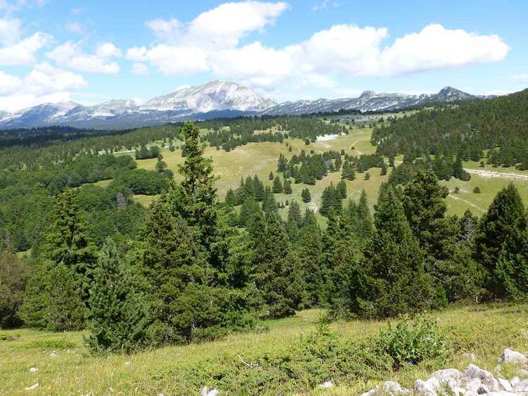 Randonnée sur les hauts Plateaux avec le grand Veymont