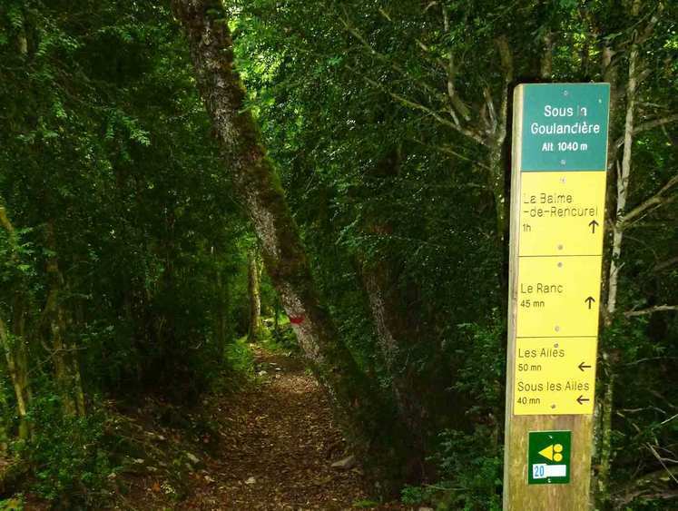 Randonnée à la Goulandière à Rencurel (Vercors)
