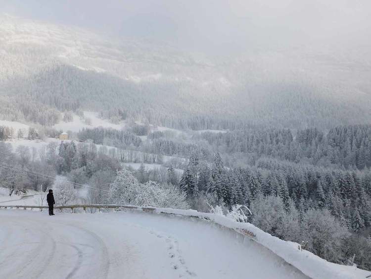 La forêt des Coulmes en hiver