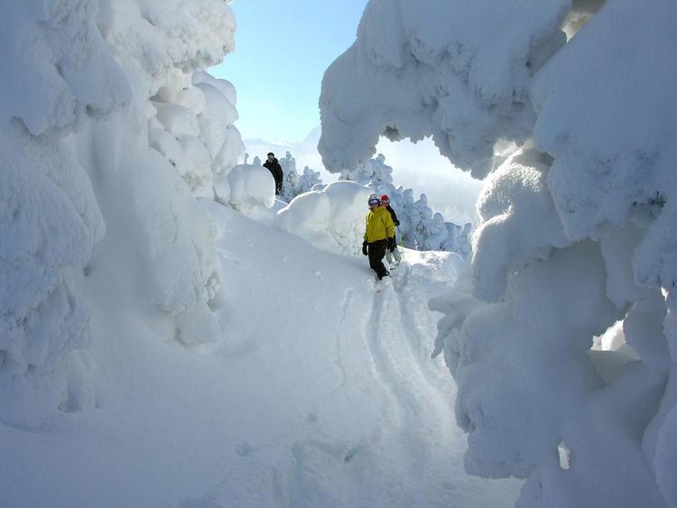 journée de poudreuse en surf à villard de lans