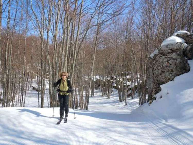 Ski nordique dans les Coulmes