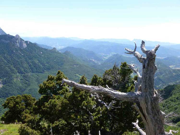 vtt sur les hauts plateaux dans le Vercors