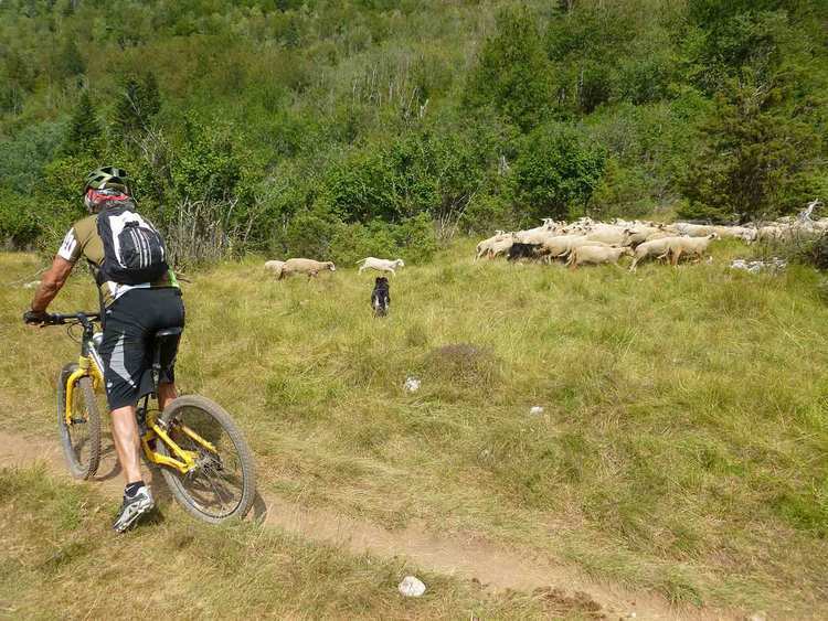 vtt à Vassieux-en-Vercors