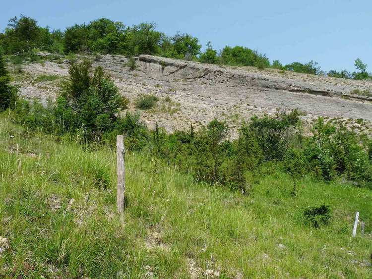 Site fossile des Rimets à Rencurel dans le Vercors