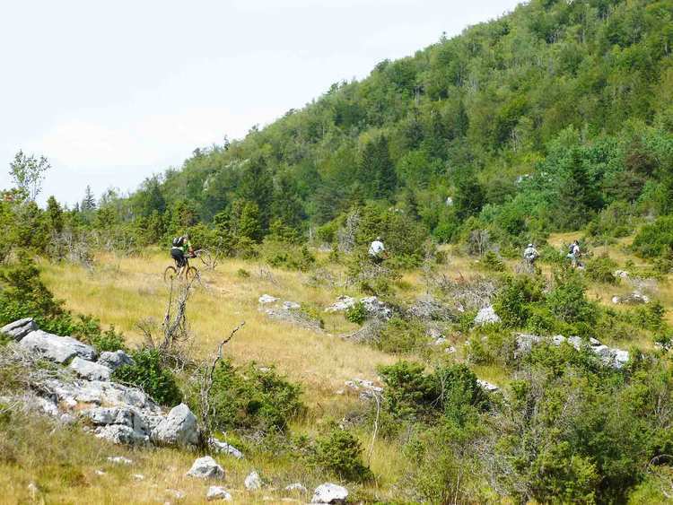 vtt à Vassieux-en-Vercors